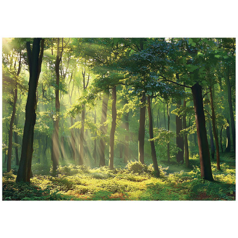 Fleece mural "Forest Sun" 350x250 cm - Multifunctional Interior Decoration.