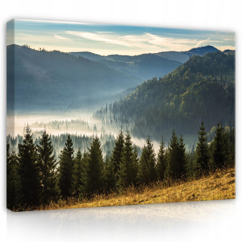 Image On Canvas Mountains Landscape Nature Forest 100x70