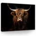painting on a wall panel modern rock cow for bedroom living room 40x30