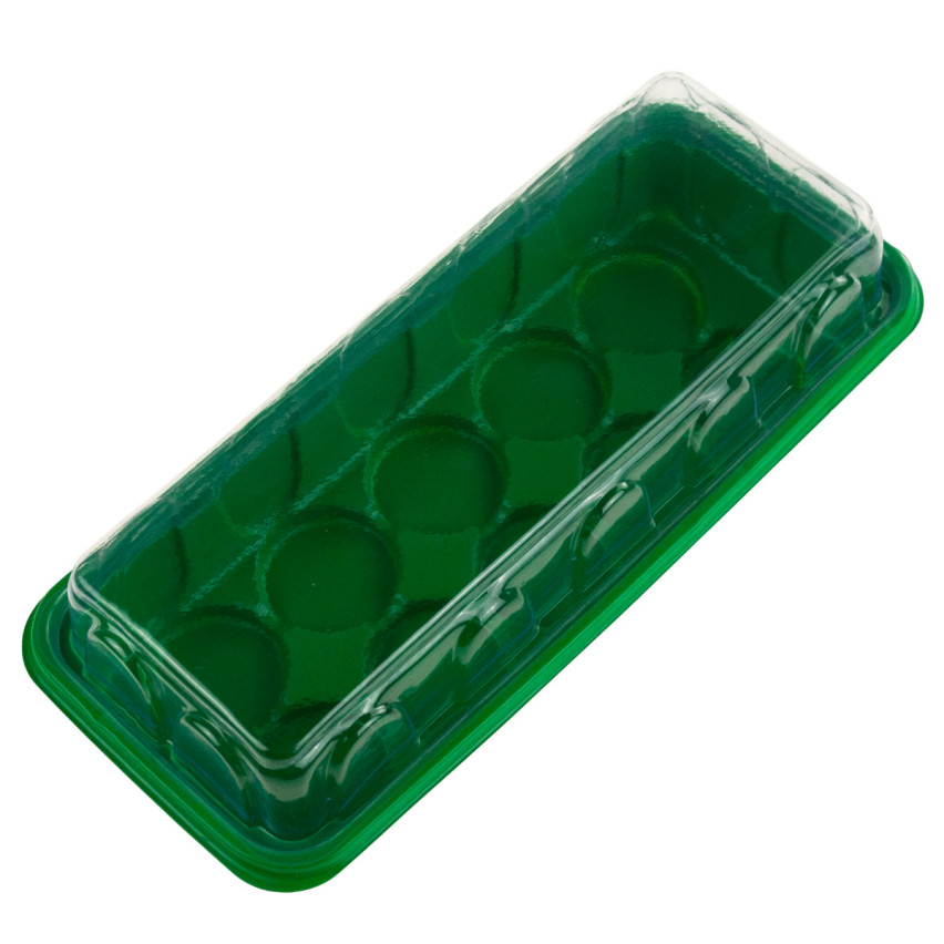 Mini greenhouse sprout inspector seedling 10 compartments