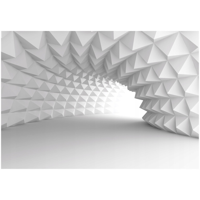 OPTICAL TUNEL 3D seinämaalaus olohuoneen seinämaalaus 250x175