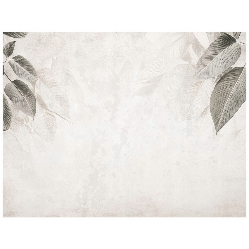 400x280 FOTOTAPET BETON LEAVES GREY ON FISELLINE SITTING ROOM LIVING ROOM Ozadje
