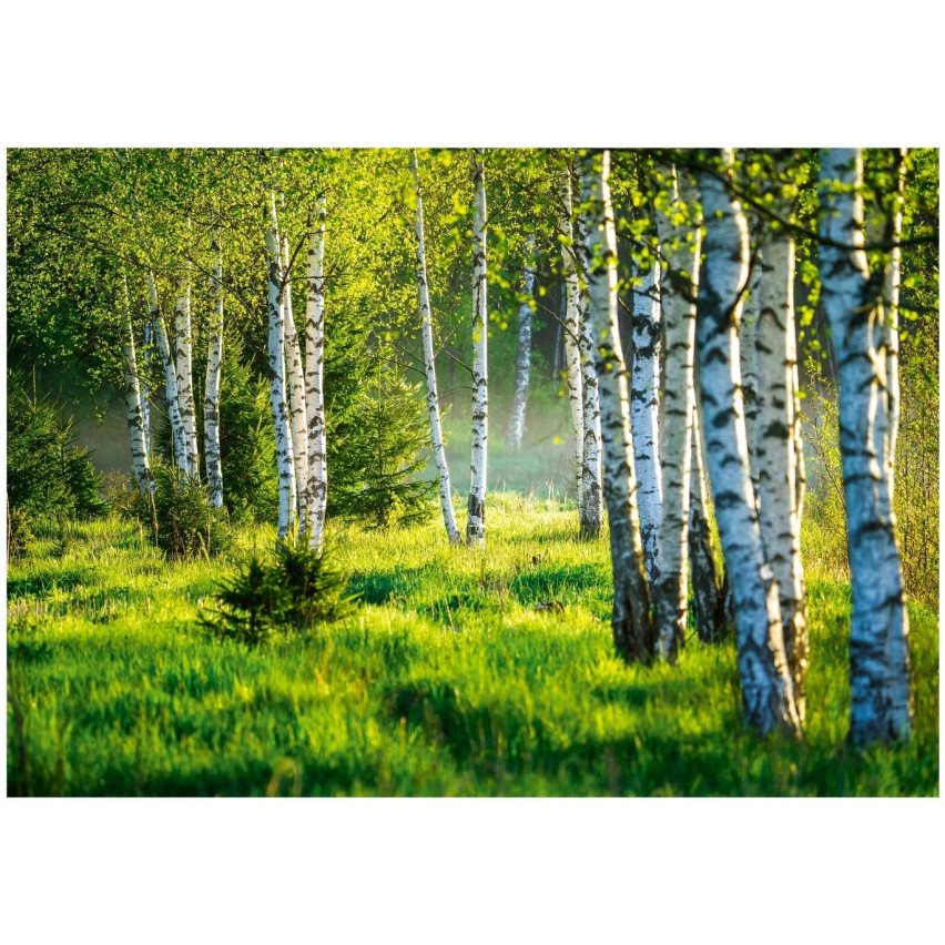 PHOTO wallpaper bronze forest trees nature meadow living room bedroom wallpaper 300x210