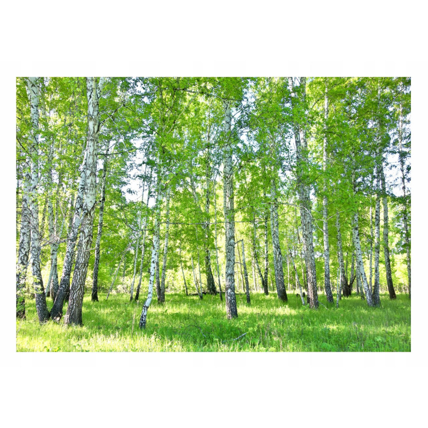 WEEKLY WALLPAPET FOR WALLS 250x175