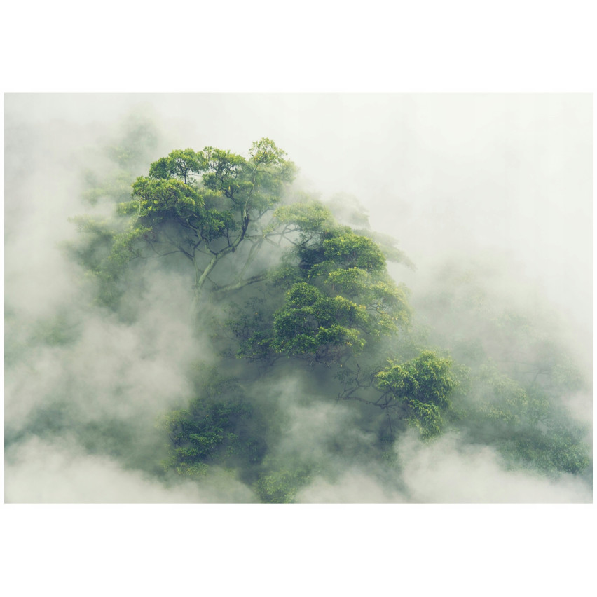 murale foresta pluviale alberi nebbia soggiorno camera da letto carta da parati 350x250