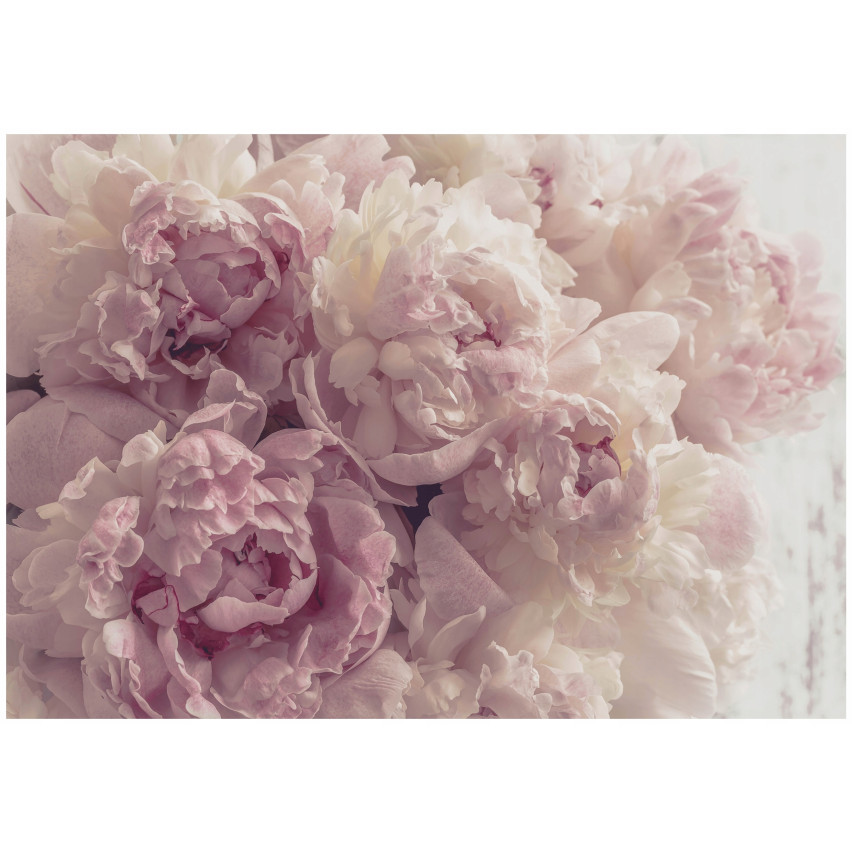 wall mural wallpaper pink peony flowers for bedroom living room wall mural 150x105