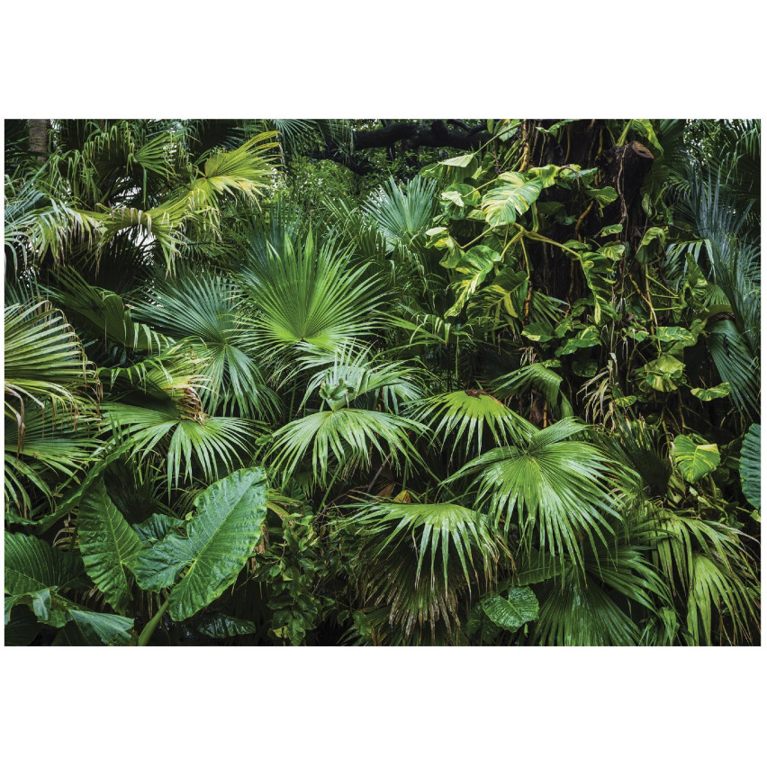 photo wallpaper jungle tropical forest leaves for bedroom living room wallpaper 150x105