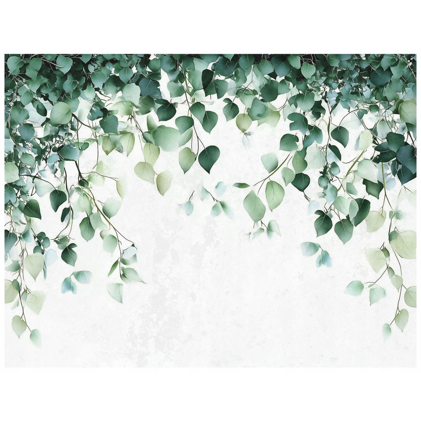 FOTOGRAFIA ZELENEJ PRÍRODY KUCHNIA SYPIALNIA SALÓNOVÁ PÁSKA 350x250