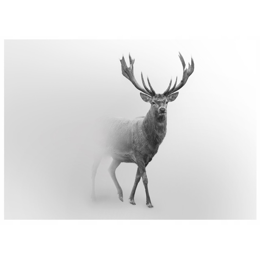 murale carta da parati fotografica per soggiorno murale 150x105