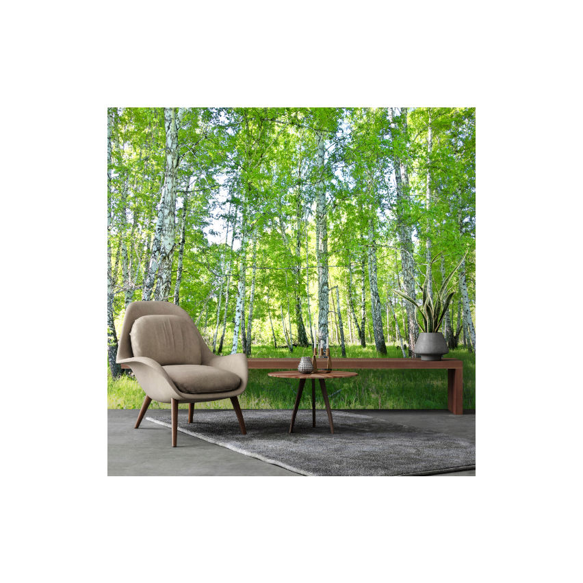 Murales foresta di betulle alberi soggiorno camera da letto murales 200x140