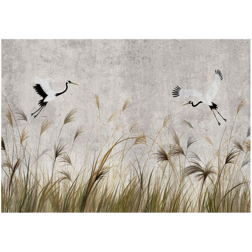 400x280 KURTYNY NÁBYTOK TRAP PRE SÍDLISKO Tapety 400x280