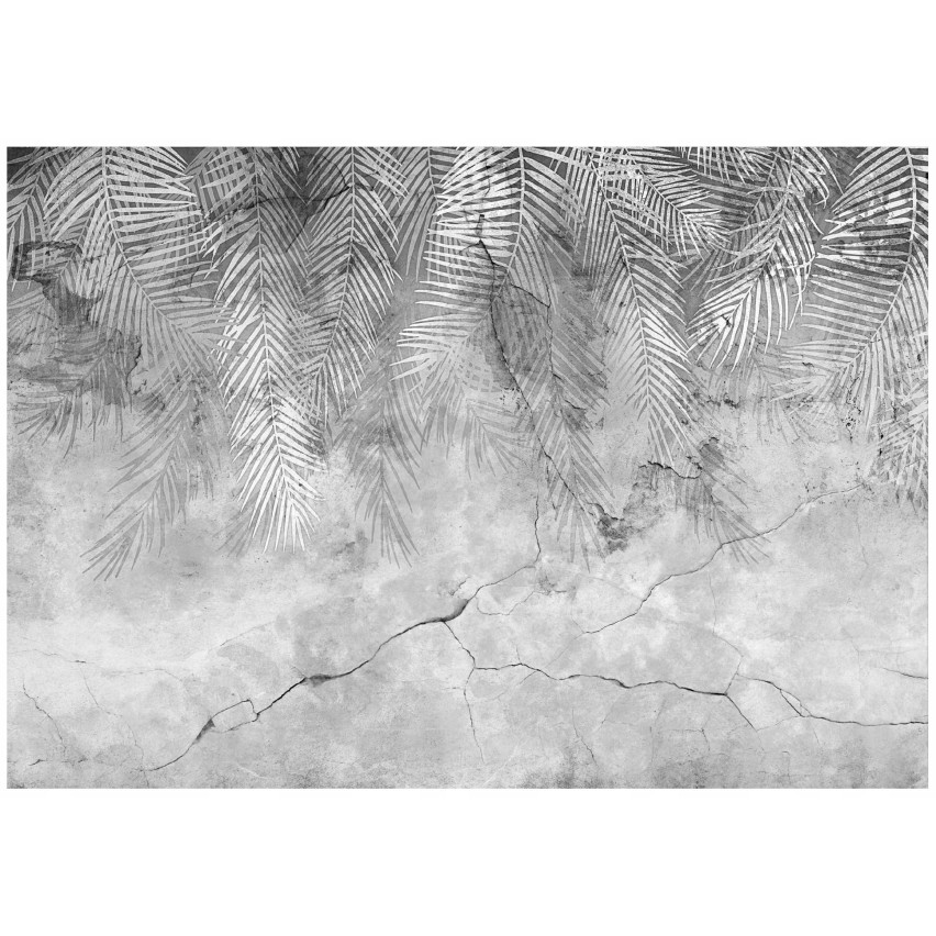 PHOTO wallpaper palm tree leaves on concrete feathers for bedroom living room wallpaper 200x140