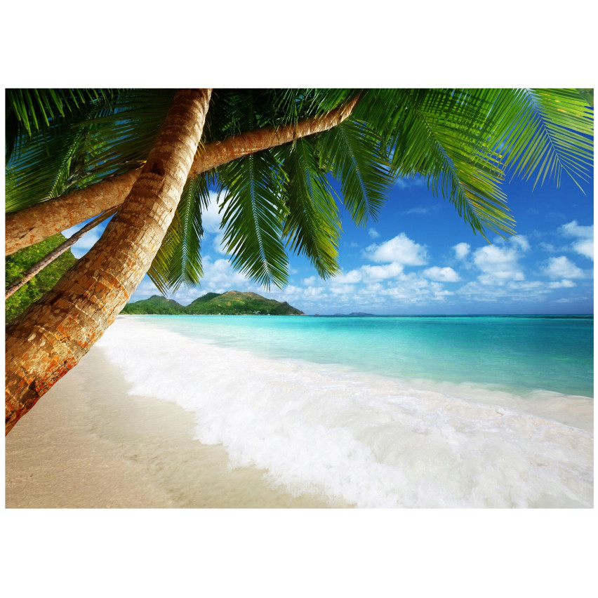 MARE PAESAGGIO PALME PER IL SALOTTO Carta da parati 250x175