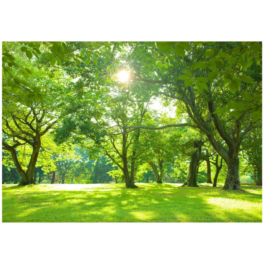 Foto Carta da parati foresta girasole alberi natura prato soggiorno camera da letto carta da parati 400x280