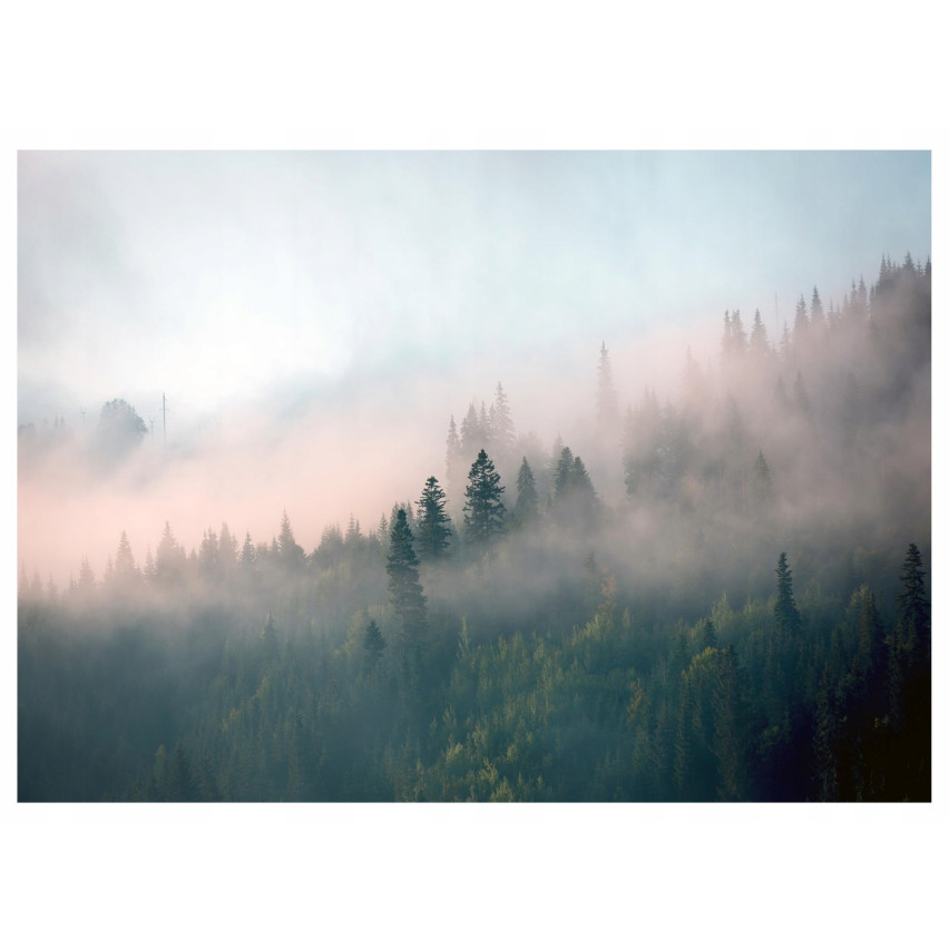 fototapeta les v hmle pre spálňu obývacej izby príroda tapety 350x250