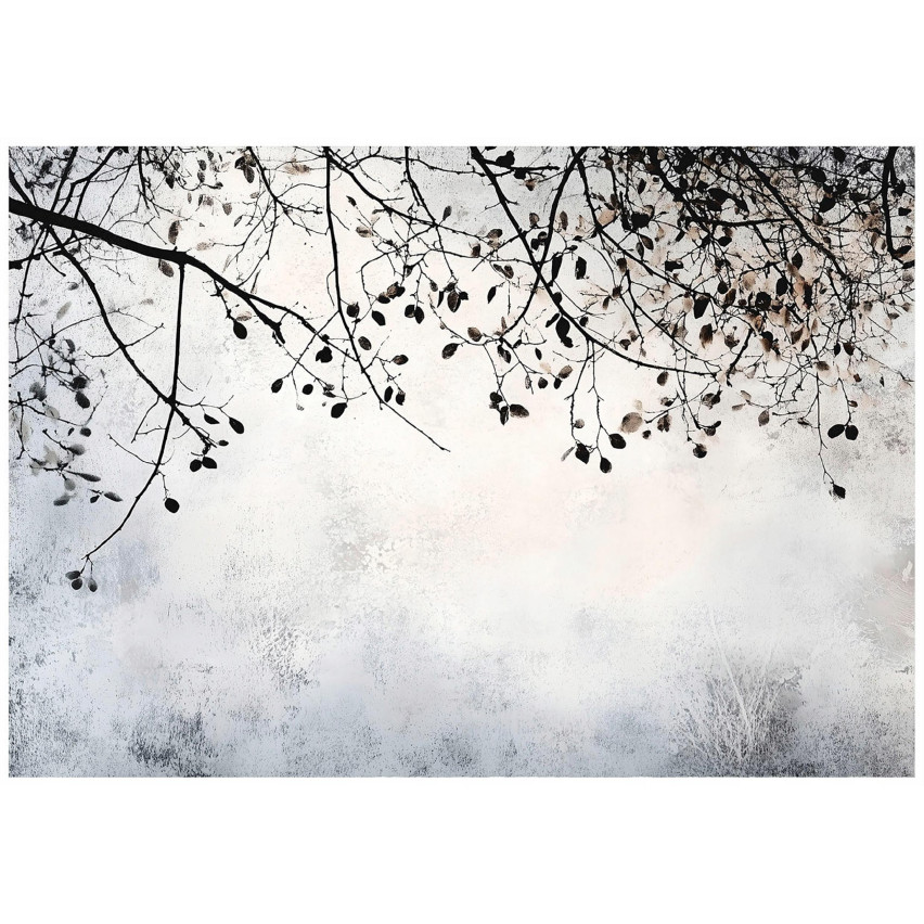 PHOTOTOTAPET BETON TREES TREE SITING ROOM FLIZELINE TAPET 250x175