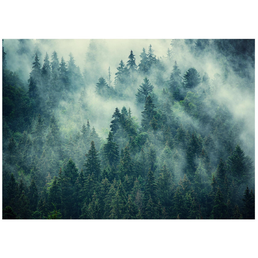 PHOTO wallpaper forest in the mist green for the bedroom living room wallpaper 150x105
